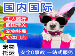 徐州观音机场托运国际宠物托运 【国